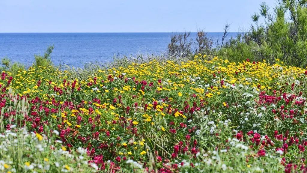 top cities for spring tourism