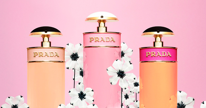 Candy, Prada